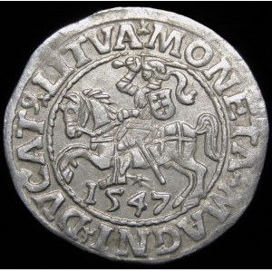 Sigismund II Augustus, Half-penny 1547, Vilnius - LI/LITVA