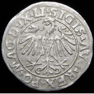 Sigismund II Augustus, Half-penny 1547, Vilnius - LI/LITVA