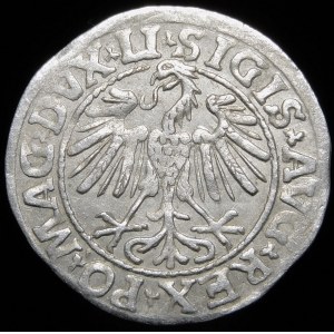 Sigismund II. Augustus, Halbpfennig 1547, Wilna - LI/LITVA