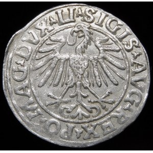 Sigismund II Augustus, Halbpfennig 1548, Wilna - Römer I, LI/LITVA