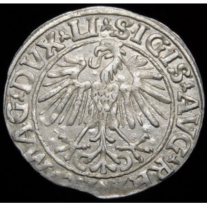 Sigismund II Augustus, Half-penny 1548, Vilnius - Roman I, LI/LITVA