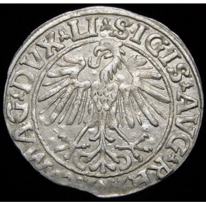 Sigismund II Augustus, Halbpfennig 1548, Wilna - Römer I, LI/LITVA