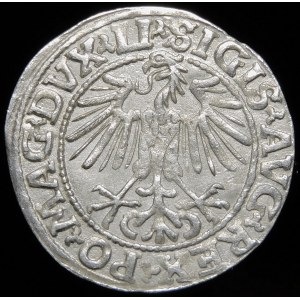 Sigismund II Augustus, Half-penny 1548, Vilnius - Arabic 1, LI/LITVA