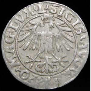 Zygmunt II August, Półgrosz 1549, Wilno - 9 Pogoń, L/LITVA - rzadszy