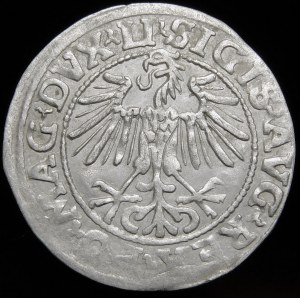 Sigismund II. Augustus, Halbergroschen 1549, Wilna - 9 Pogon, LI/LITVA