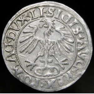 Sigismund II Augustus, Half-penny 1556, Vilnius - LI/LITVA - beautiful