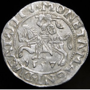 Sigismund II. Augustus, Halbpfennig 1557, Wilna - L/LITV