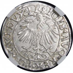 Zygmunt II August, Półgrosz 1557, Wilno - LI/LITVA - piękny
