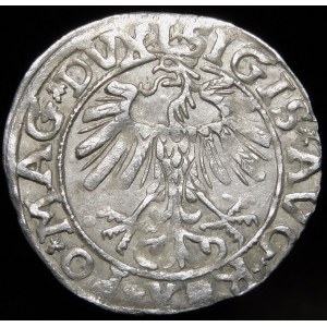 Sigismund II. Augustus, Halbergroschen 1558, Wilna - L/LITVA