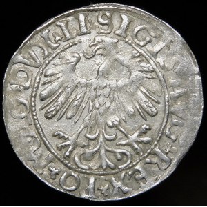 Sigismund II Augustus, Half-penny 1558, Vilnius - LI/LITV