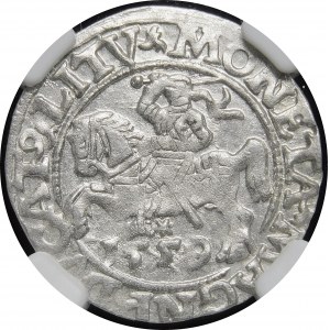 Sigismund II Augustus, Half-penny 1559, Vilnius - L/LITV