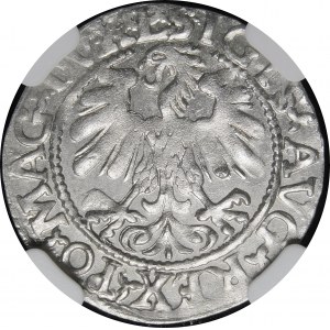 Sigismund II Augustus, Half-penny 1559, Vilnius - L/LITV