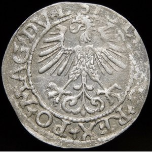Sigismund II Augustus, Halbpfennig 1561, Vilnius - 14 Adler, DV L/LITV - selten