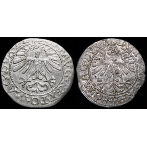 Sigismund II Augustus, Half-penny 1562, Vilnius - varieties - set (pcs. 2)