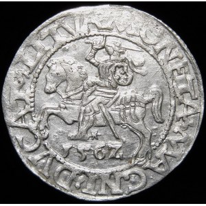 Sigismund II Augustus, Half-grosz 1562, Vilnius - 17 Pogon, LI/LITVA