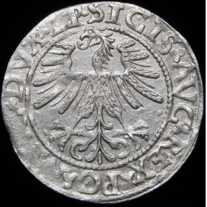 Sigismund II. Augustus, Halbgrosse 1562, Vilnius - 17 Pogoń, LI/LITVA