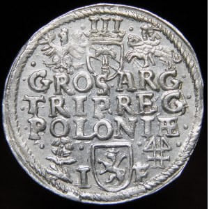 Zygmunt III Waza, Trojak 1595, Wschowa - trójlistki - data na awersie