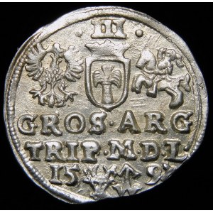 Sigismund III Vasa, Troika 1597, Vilnius