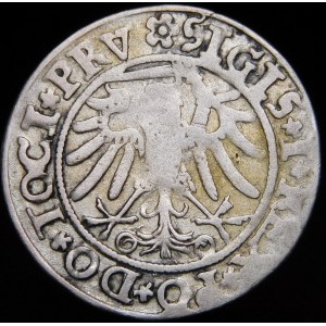 Sigismund I the Old, Penny 1534, Elblag - sword to the left