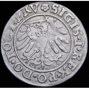 Sigismund I the Old, Penny 1533, Elblag - sword to the left