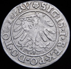 Zygmunt I Stary, Grosz 1533, Elbląg - miecz w lewo