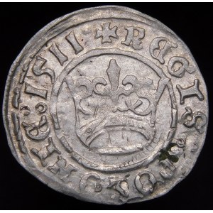 Sigismund I the Old, Half-penny 1511, Cracow