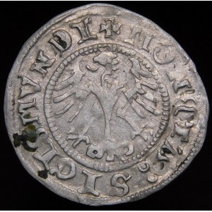 Sigismund I the Old, Half-penny 1511, Cracow