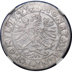 Sigismund I the Old, Penny 1545, Cracow - ovals - beautiful
