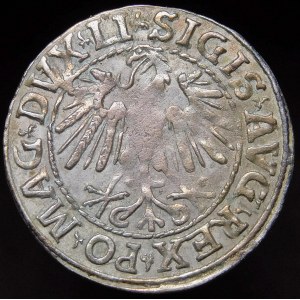 Zygmunt II August, Półgrosz 1547, Wilno - LI/LITVA - A zamiast V - rzadki