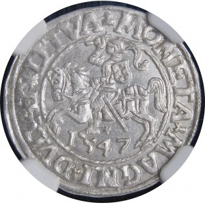 Sigismund II Augustus, Halbpfennig 1547, Wilna - LI/LITVA - schön