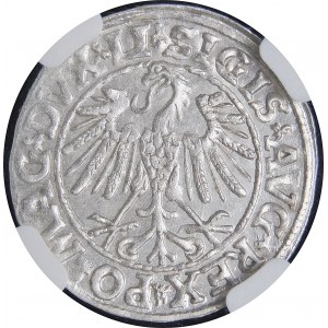 Zygmunt II August, Półgrosz 1547, Wilno - LI/LITVA - piękny