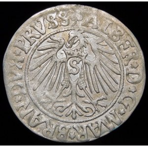 Ducal Prussia, Albrecht Hohenzollern, penny 1542, Königsberg