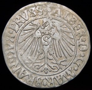 Prusy Książęce, Albrecht Hohenzollern, Grosz 1542, Królewiec