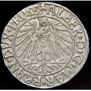 Ducal Prussia, Albrecht Hohenzollern, penny 1543, Königsberg