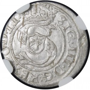 Sigismund III. Vasa, Shelly 1597, Riga - schön