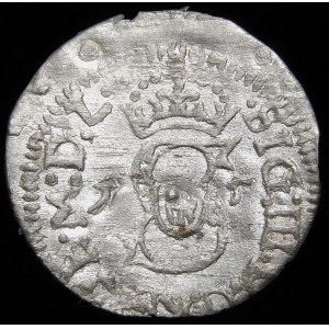 Sigismund III Vasa, Shelrogue 1615, Vilnius - trifoliate on the reverse side