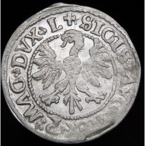 Sigismund II Augustus, halber Pfennig 1546, Vilnius - ein älterer Adlertyp - MO/NN/EETA Abzeichen - sehr selten