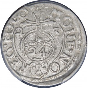 Sigismund III Vasa, Half-track 1623, Bydgoszcz - Saxon in oval shield - stars