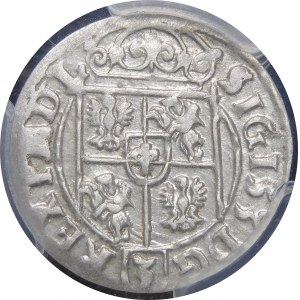Sigismund III Vasa, Półtorak 1623, Bydgoszcz - Sas in ovalem Schild - Sterne