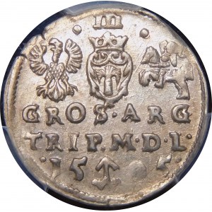 Sigismund III Vasa, Troika 1595, Vilnius - Chalecki divides the date - dots