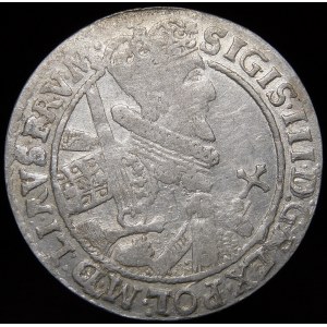 Sigismund III. Vasa, Ort 1621, Bydgoszcz - PRV M - Schärpe