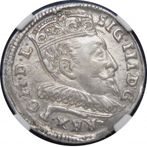 Sigismund III. Vasa, Troika 1594, Vilnius - Chalecki teilt das Datum - Rosetten