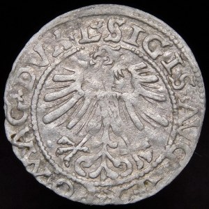 Sigismund II Augustus, Half-penny 1562, Vilnius - inverted Axe - rare