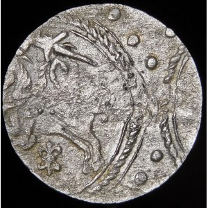 Johannes II. Kasimir, Zwei-Dollar-Stück 1652, Vilnius - selten