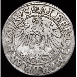 Ducal Prussia, Albrecht Hohenzollern, penny 1535, Königsberg