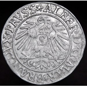 Ducal Prussia, Albrecht Hohenzollern, penny 1537, Königsberg