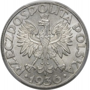 5 złotych Żaglowiec 1936