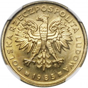 2 gold 1985
