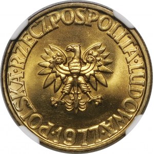 5 gold 1977