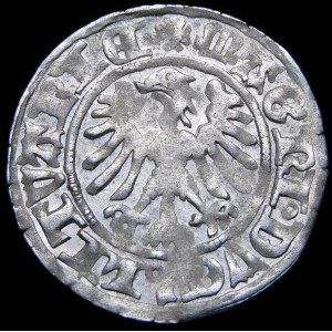 Alexander Jagiellonian, Vilnius half-penny - Gothic - 4th issue - 6 feathers, variety - rare